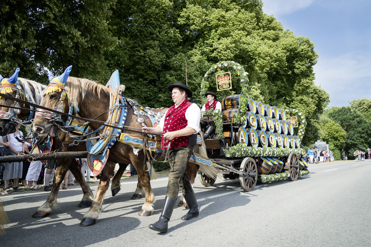 6er Gespann Graf Arco Valley Bier